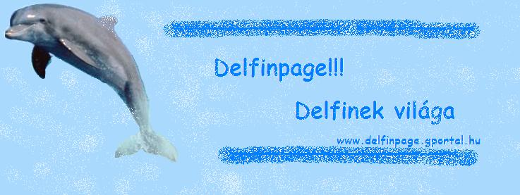  Delfinvilg  dv a Delfinpage-en!  www.delfinpage.gportal.hu 